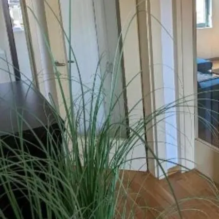 Apartment Downtown Fiume, Underground Garage Within The