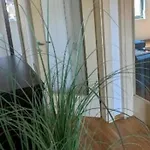 Διαμέρισμα Downtown Fiume, Underground Garage Within The