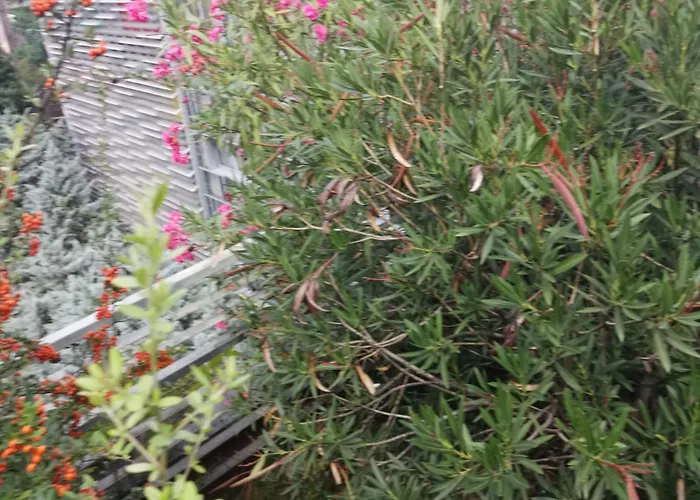 Downtown Fiume, Underground Garage Within The *