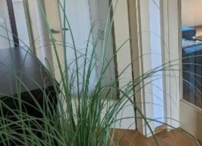 Apartamento Downtown Fiume, Underground Garage Within The